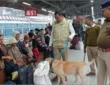 Patna-Junction-RPF-Dog-Squad