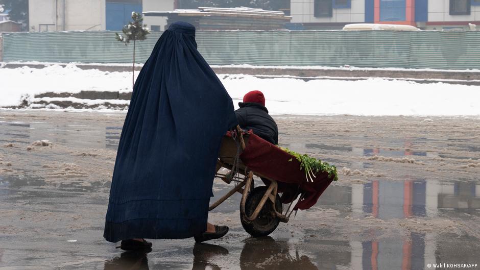 افغانستان کے کسان بارش نہ ہونے کی وجہ سے پریشان