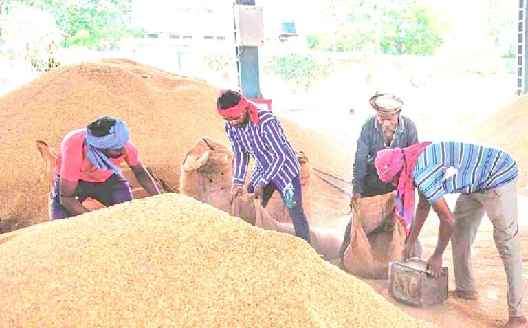 دھان کی خریداری کا آغاز؛ پہلے ہی دن 18,786.09 کوئنٹل دھان کی خریداری