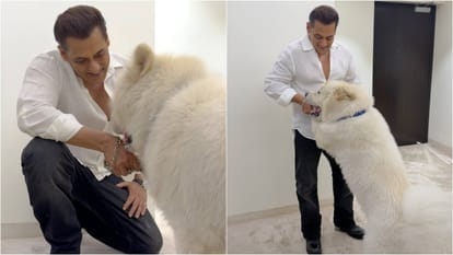 Salman-Khans-post-viral